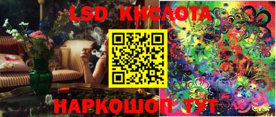 кокс Донской