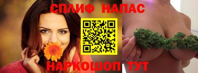 кокс Донской