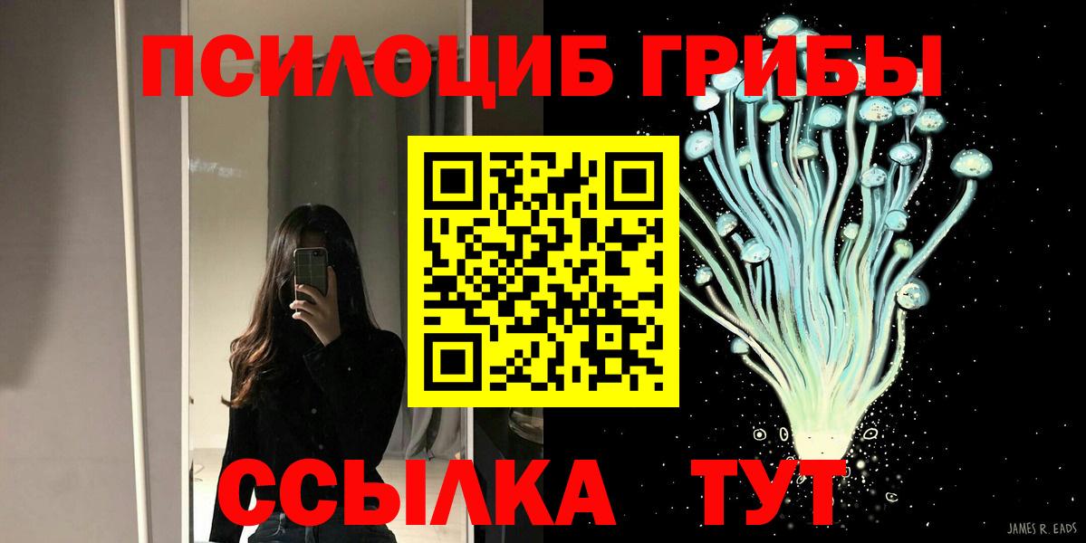 Галлюциногенные грибы Cubensis  Вход с VPN  Минусинск 
